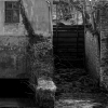 IMG_90D_103844_swb