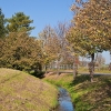 IMG_101_030639