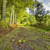 img_101_8940_0