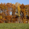 img_101_9193_0