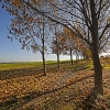 img_101_9209