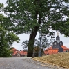 IMG_101_033532