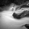 IMG_101_030516_sw