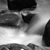 IMG_101_030525_sw