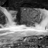 IMG_101_030548_sw