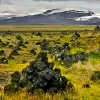 img_0200a