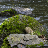 IMG_90D_103384