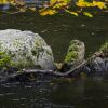 IMG_90D_103385