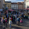 IMG_90D_106008
