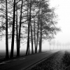 img_101_027441sw