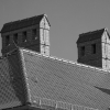 IMG_90D_101064_k_sw