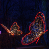 IMG_90D_104484