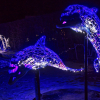 IMG_90D_104509