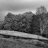 IMG_90D__100316_sw