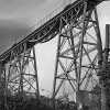 IMG_90D__100332_sw