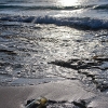 IMG_112_4994