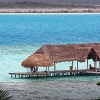 IMG_113_35161