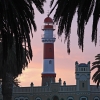 IMG_101_5470