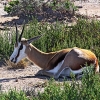 img_101_4965