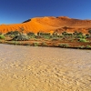 img_101_5667