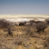 IMG_101_013905