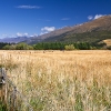 IMG_101_016042