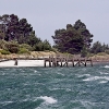 img_101_016354