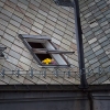 IMG_101_036530