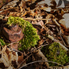05a_IMG_101_032513