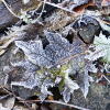 19_IMG_90D_100632