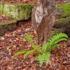 img_101_027045.jpg