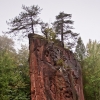 img_101_027067.jpg