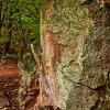 img_101_027081.jpg