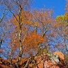 img_101_027358