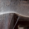 img_101_026398