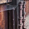 img_101_026399