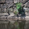 img_101_026419