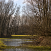 IMG_90D_103705