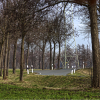 IMG_90D_103711
