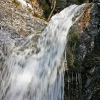 20080903_DAVOS__010