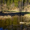 IMG_90D_102786