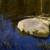 IMG_90D_102787