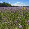 img_101_017627
