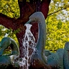 img_101_026311_0