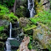 img_101_026505_0