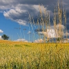 img_101_6488_50_0