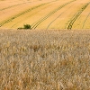 img_101_6505_0