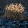 IMG_101_034618