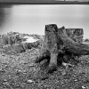 IMG_101_034258_sw