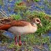 IMG_101_023520